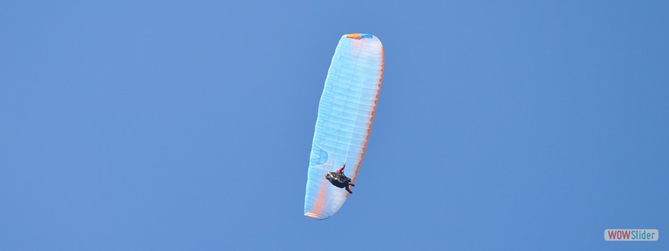 fly_robin_fly