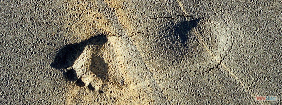 footsteps