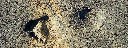 footsteps