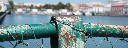 zaungeflecht_in_tavira