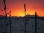 Mosella-Sundowner_4