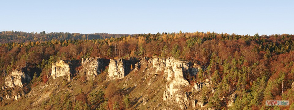 12_apostel