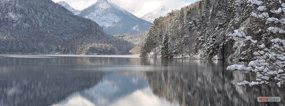 Alpsee_im_Winter