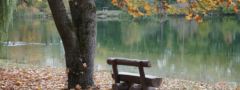 bank_am_see