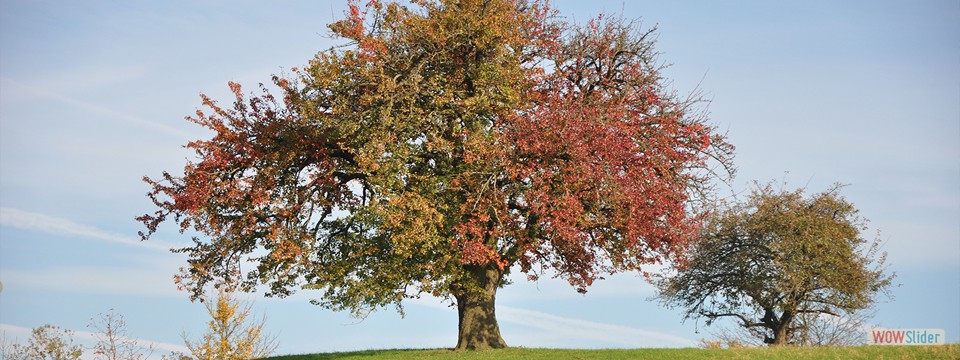 Herbst_in_Franken