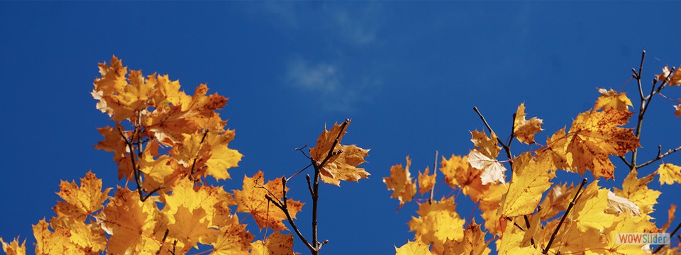 Herbststimmung