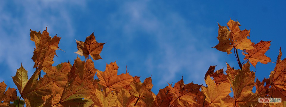 Herbststimmung_2