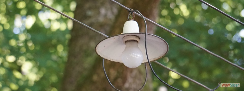 lampe_im_wald