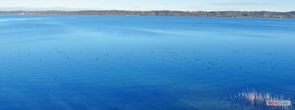 tiefblauer_staffelsee