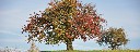 Herbst_in_Franken