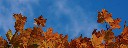 Herbststimmung_2