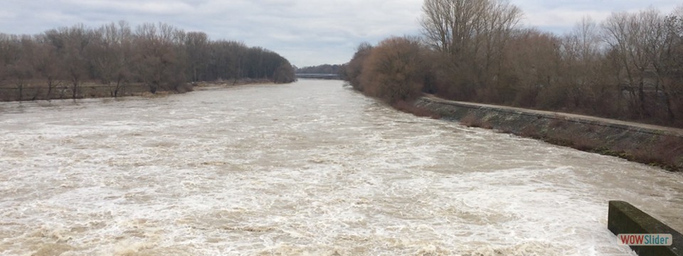 Donau_bei_Hochwasser