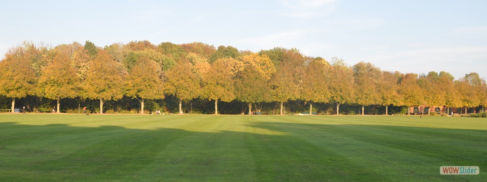 Klenzepark