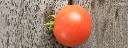 Tomate_auf_Tisch
