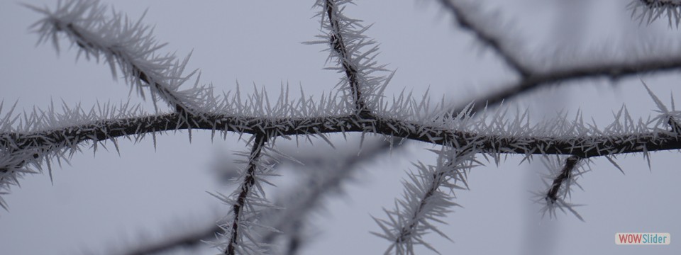 frostast