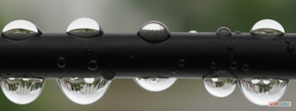 wassertropfen