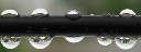 wassertropfen