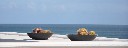 kakteenschalen_am_Meer