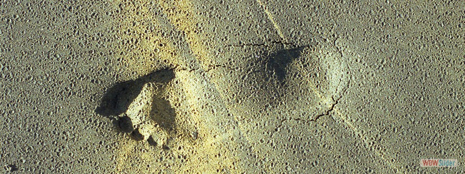 Footsteps_lanzarote