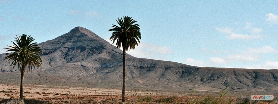 Fuerteventura