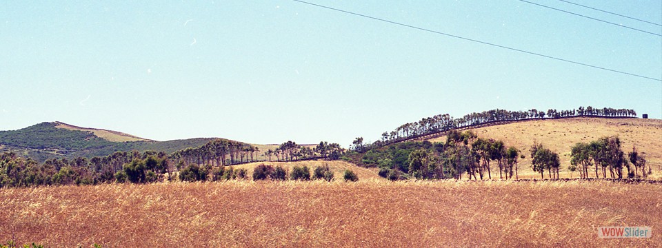 Sardinien