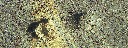 Footsteps_lanzarote