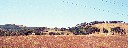 Sardinien